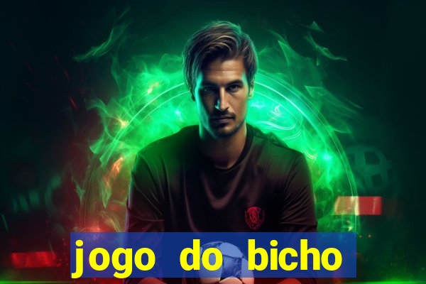 jogo do bicho crash bingo